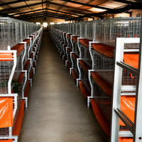 Nouvelle cage à poulets de chair en structure H, automatique, en acier galvanisé à chaud, multi-niveaux, équipement d'élevage avicole, grande structure commerciale
