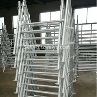 Échafaudage pliable en acier réglable avec pieds fixes pour utilisation en scène/construction
