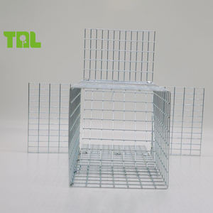 Productos de desalojo animal Válvula de exclusión de puerta unidireccional para ardillas - Product Image 5