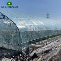 Serre en film plastique à arches multiples GT pour tomates et fraises