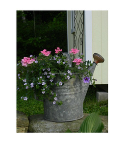 Arrosoir essentiel pour jardin arrosoir pour plantes galvanisé avec double poignée argentée moderne - Product Image 4
