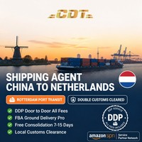 Expédition FBA LCL de Chine vers l'Europe pour les petites charges commerciales avec consolidation de marchandises, dédouanement et livraison porte-à-porte