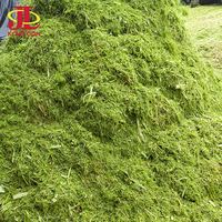Nouveau Broyeur à marteaux métallique pour ensilage et herbe, haute productivité, broyeur super fin, prix direct usine