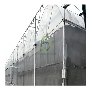 Landscape Agricultural Project Environment Controller Fully Automated Hydroponic Multi-Span Greenhouse