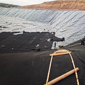 Géomembrane en HDPE résistante à la corrosion et imperméable, revêtement de barrage de déchets miniers, lagune minière - Product Image 2