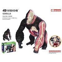 Jouet d'assemblage 4D MASTER Gorilla, 29 pièces, modèle Silverback, anatomie animale réaliste, outil éducatif, cadeau pour zoo, démonstration STEM