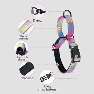 Kerah pelatihan anjing peliharaan 2 in 1 kualitas tinggi supersteed nilon dapat disesuaikan tugas berat menyesuaikan kerah anjing Martingale - Product Image 3
