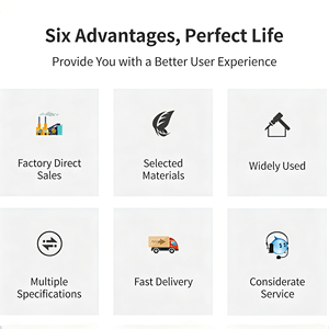 Bote Inflable en Oferta, Bote Inflable Grande <span class=keywords><strong>de</strong></span> <span class=keywords><strong>8</strong></span> <span class=keywords><strong>Metros</strong></span> para <span class=keywords><strong>8</strong></span> Personas, PVC <span class=keywords><strong>de</strong></span> 0.9 mm para Mar y Lago, Diversión Acuática para Varias Personas - Product Image 4