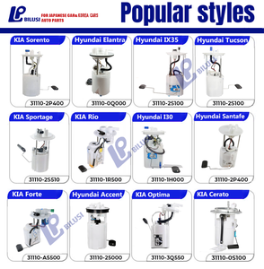 बिलुसी इलेक्ट्रिक ऑटो पार्ट डेंससो ईंधन पेट्रोल पंप असेम्बली के लिए भागों - Product Image 2