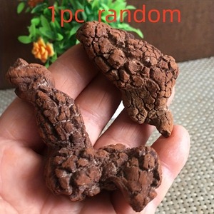 Décoration en pierre de caca de dinosaure réaliste en gros, pierres naturelles de guérison cristalline pour une décoration intérieure unique et des cadeaux de vacances - Product Image 4