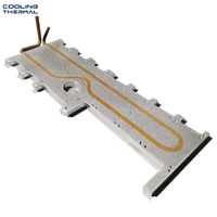 Plaque de refroidissement liquide personnalisée en aluminium pour serveur IA, GPU, CPU et électronique de puissance