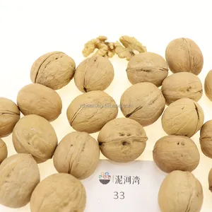 Organic Wholesale Chinese Xingjiang Walnuts In Shell Walnuts 32mm