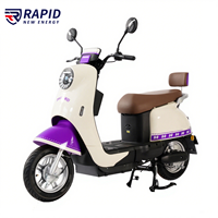 500w vélo électrique Scooter cyclomoteur vélo électrique vélo électrique Ebike cyclomoteur avec 2 sièges