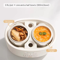 Casserole électrique programmable de 1 litre avec couvercle en céramique, pot extérieur en plastique, 2 cuves vapeur intérieures, contrôle numérique du minuterie pour usage domestique