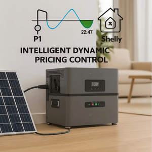 Plug Play Stackable Hybrid AC Coupled Battery 2.4kWh Smart Dynamic Pricing App <b>Zero</b> Export Solar Energy Storage Netherlands - Product Image 4