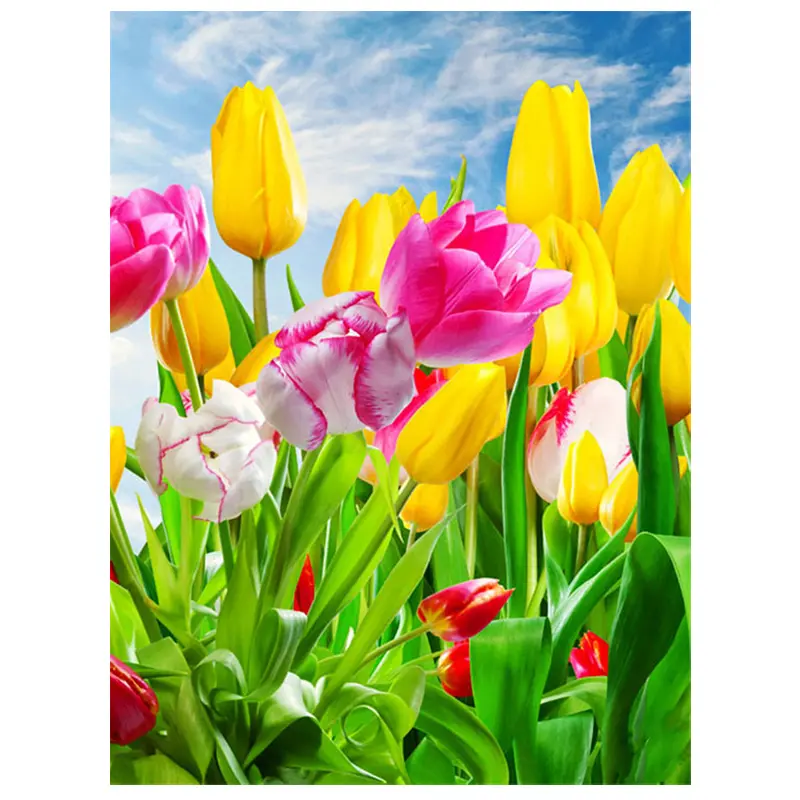 100x70cm AA100x70-2466 Cuadros Decoracion Impresión en lienzo Cuadros Modernos Tulipán flor jardín plantación Imagen Impresión Cuadro sobre lienzo Impresión de Imagen