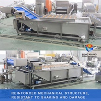 Commerciële groente- en fruitwasmachine met ozon-luchtbeltechnologie voor maïs, noten en groenten, SUS 304 motor/pomp, 1500-3000kg/u