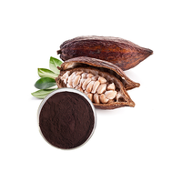 Poudre d'extrait de plante de Coca