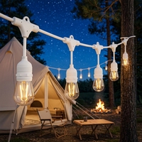 Guirlande lumineuse de fête 10m Edison ST64 S14 Ampoule LED 220V IP65 Étanche Mariage Patio Extérieur Café Fête