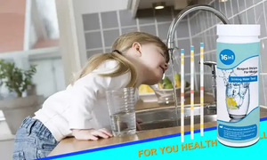17 in 1 Drinking Water Testing Kit with <strong>Bacteria</strong> Power for Well Home Tap Water Quality <strong>Test</strong> Strips - Product Image 5