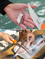 Ensemble d'outils de pêche portables professionnels en acier inoxydable pour l'extérieur, 10 pièces, couteau de pêche, ciseaux, dégorgeoir, pêche en eau salée