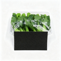 Tampons absorbants jetables pour fruits, feuilles absorbantes de qualité alimentaire pour l'emballage de la chaîne du froid des myrtilles, concombres et légumes frais