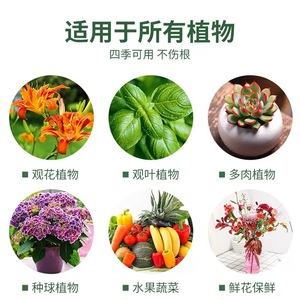 Solución de Nutrientes Vegetales Concentrada Eight Old Men, Spray de 100 ml para Plantas en Maceta y Flores - Product Image 3