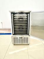 Congélateur rapide commercial 10 plateaux, capacité 250L, congélation profonde -45°C, conception à refroidissement par air, programme de réfrigération personnalisé, magnétique
