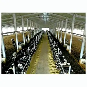 China Fast Install Low Cost Prefabricated Farm Cattle Shed Industrial Light Steel Structure Cow Dairy Farm Construction Building