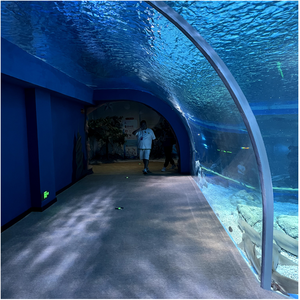 ตู้ปลาที่ใหญ่ที่สุดที่มีหัวใหญ่คุณสามารถซื้อหรือขายได้ - Product Image 3