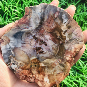 <strong>Wholesale</strong> Bulk Natural Colorful Petrified Specimen Wood fossil <strong>Raw</strong> Stone Slab Healing <strong>Crystal</strong> for Decoration - Product Image 2