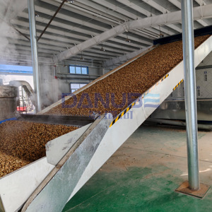 Large Scale Peanut Cleaning Steaming and Drying Production Line Mesh Belt Dryer Peanut Dehydrator Machine - Product Image 4