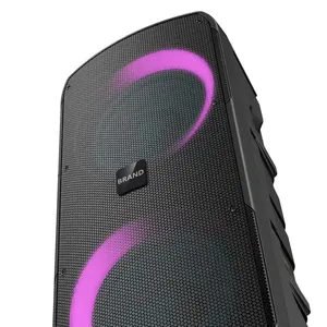 Boîte à son pour karaoké à domicile double 25w Portable sans fil Audio scène/<span class=keywords><strong>DJ</strong></span> haut-parleur extérieur - Product Image 6
