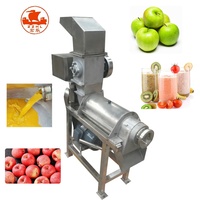 Machine à jus de fruits commerciale de haute qualité, presse à froid industrielle pour jus de fruits, extracteur à vis pour jus de mangue