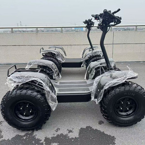 Scooter Eléctrico Profesional Tipo Deportivo, Motor de 6000W de Potencia Máxima, Batería para Uso Agrícola de 50Ah o 80Ah, Velocidad de 75km/h, Inclinación de Subida de 35 Grados - Product Image 1