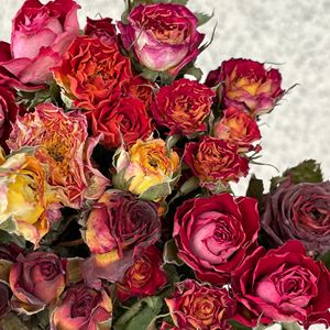 Fleurs de rose rouge séchées naturelles pour la décoration de mariage familial, décoration de fête, illustration de fleurs séchées, roses séchées - Product Image 3