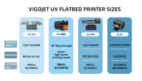 Impresora UV Plana Automática Vigojet 4260 para Papel/Tarjetas con Cabezal I3200 HD, Personalización de Etiquetas y Embalaje de Huevos de Lujo, Nueva con 1 Año de Garantía