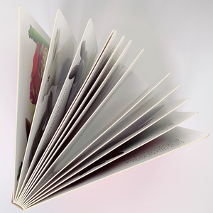 Usine personnalisée de haute qualité enfant conseil livres enfants conseil livre édition services d'impression conseil livres en gros - Product Image 6