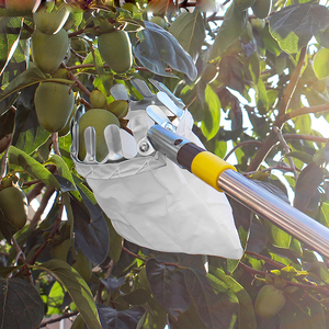 Cueilleur de fruits en métal Verger Jardinage <span class=keywords><strong>Apple</strong></span> Peach Picking Tools Fruit Catcher Collector Outils de jardinage - Product Image 4