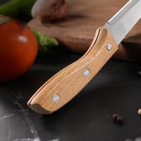 Manche en bois 2Cr13 couteau utilitaire en acier inoxydable couteau à légumes et fruits du chef de cuisine