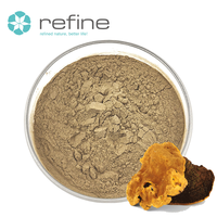 Complément alimentaire naturel à base d'extraits de Phellinus Igniarius, soluble dans l'eau, poudre de Phellinus Igniarius