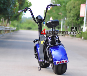 สกู๊ตเตอร์ไฟฟ้า2ล้อ Citycoco,สกู๊ตเตอร์ไฟฟ้าจีน - Product Image 1