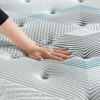 Großhandel Fabrik preis Intex Air Bed Matratze Hochwertige Luxus Hotel Matratze