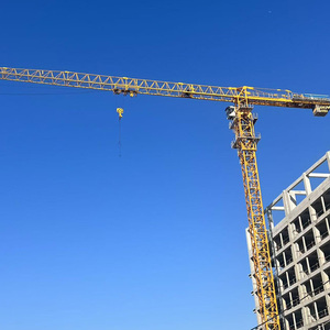 Grue à tour QTZ250 robuste d'occasion, capacité 10t, flèche 70m, sections de cordes principales robustes, expédiée <span class=keywords><strong>en</strong></span> conteneurs HQ de 40 pieds vers l'Afrique - Product Image 5