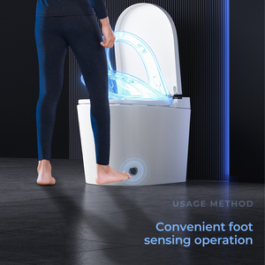 Fanwin <span class=keywords><strong>Toilette</strong></span> One Piece Smart <span class=keywords><strong>Toilette</strong></span> capteur automatique rinçage cUPC FW-ST181 <span class=keywords><strong>de</strong></span> détection d'<span class=keywords><strong>eau</strong></span> - Product Image 6