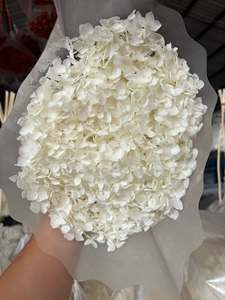 Tige d'hortensia Anna préservée pleine fleur 20-25cm, tête d'hortensia séché éternel pour la décoration de la maison, des mariages et des fêtes - Product Image 6