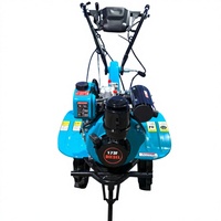 Motoculteur diesel 1050 mm de largeur avec boîte de vitesses 2,5 L pour le désherbage des vergers, exploitation agricole moyenne, Vietnam, Philippines