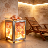 Lampe en cube de sel de l'Himalaya sur mesure avec cristal de roche rose naturel et cadre en acier inoxydable pour la décoration de chambre et de spa