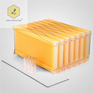 Herramientas de Apicultura, Nueva <span class=keywords><strong>Colmena</strong></span> de Flujo, Equipo de Apicultura, <span class=keywords><strong>Colmena</strong></span> de Abejas de 10 Cuadros con 7 Cuadros de Flujo - Product Image 4