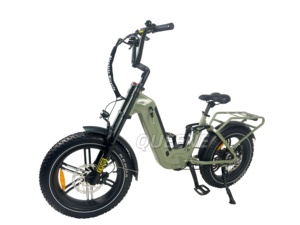 Green Assit 20Inch Fat Tyre Ebike 48V 250-1000 Road With Low Step Thru <b>Frame</b> - Product Image 5